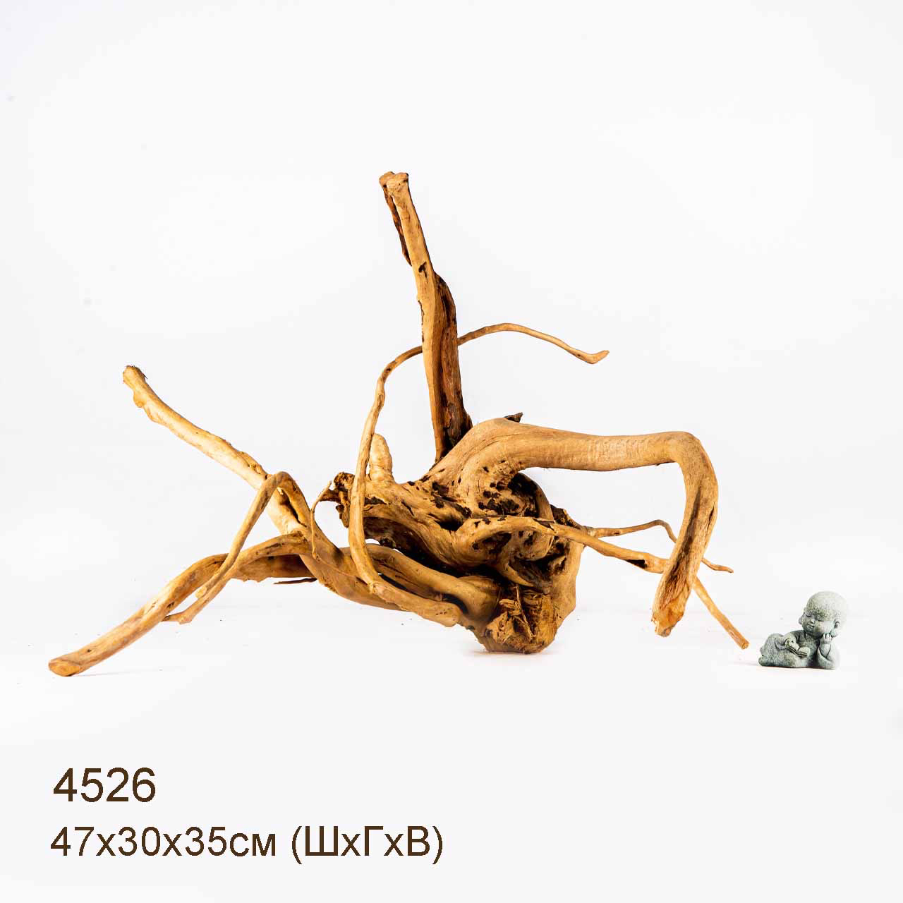 Коряга MASHA BLOOM Корень азалии L - 4526