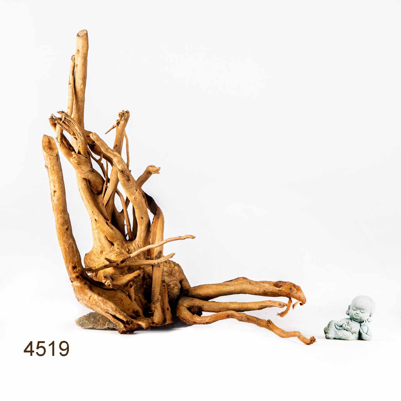 Коряга MASHA BLOOM Корень азалии L - 4519