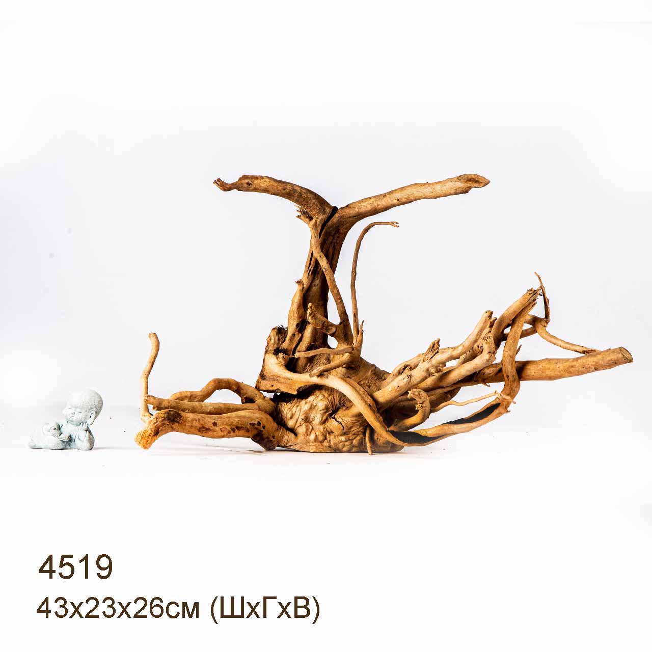 Коряга MASHA BLOOM Корень азалии L - 4519