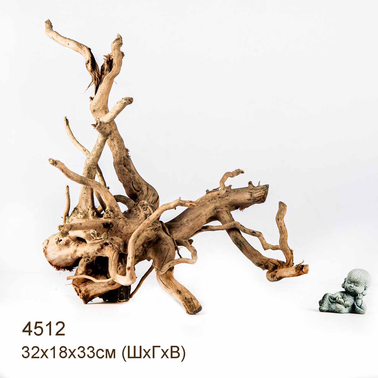 Коряга MASHA BLOOM Корень азалии L - 4512