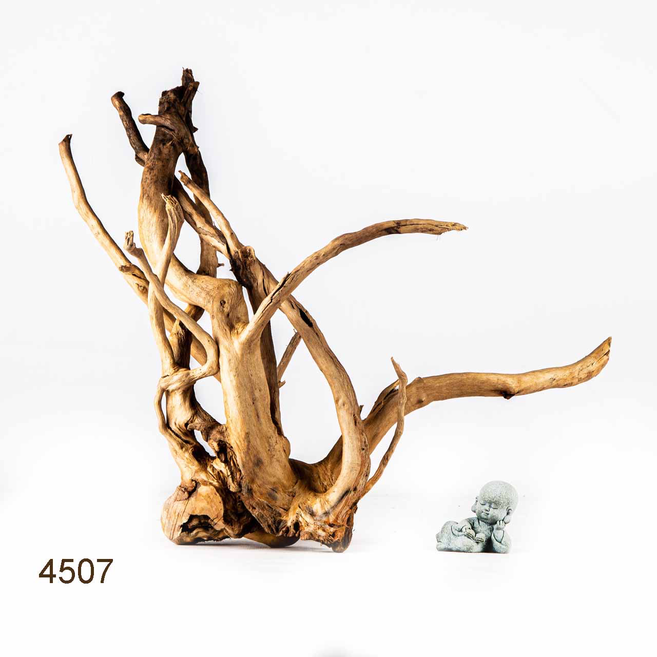 Коряга MASHA BLOOM Корень азалии L - 4507