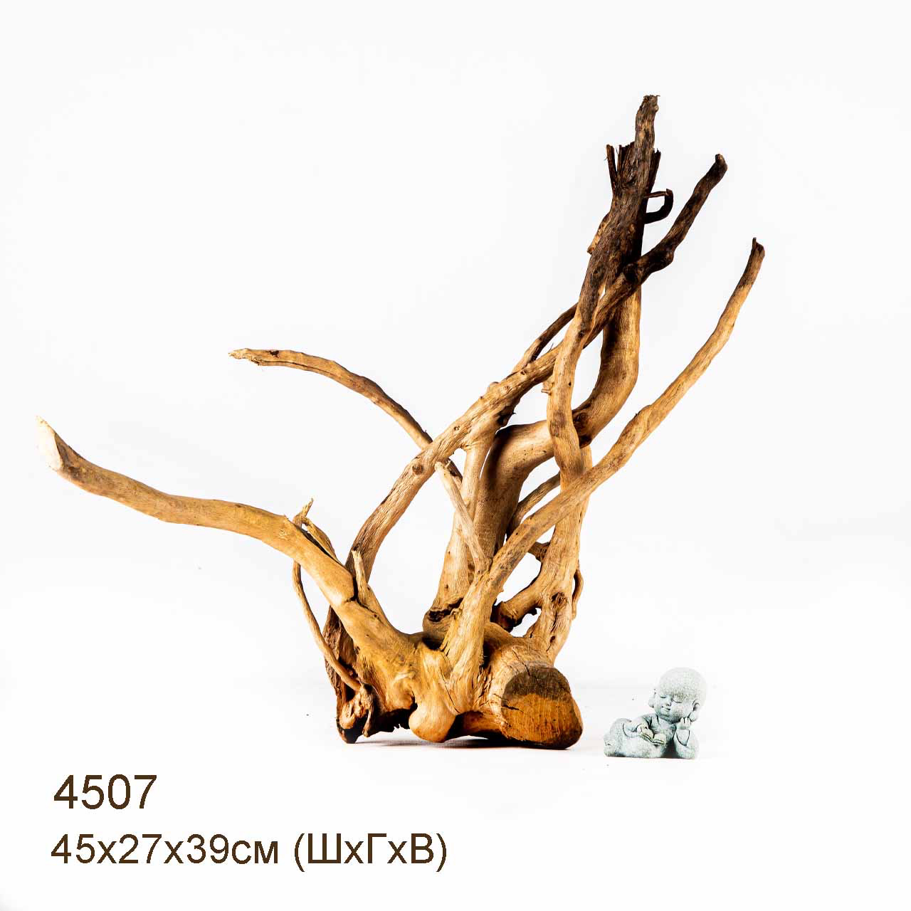 Коряга MASHA BLOOM Корень азалии L - 4507