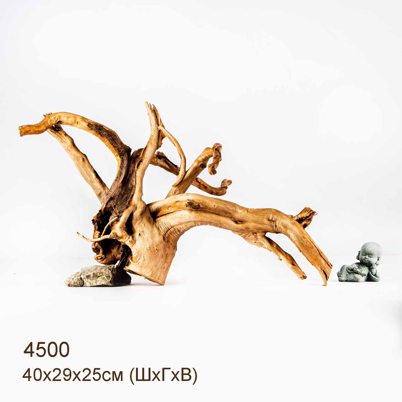 Коряга MASHA BLOOM Корень азалии L - 4500