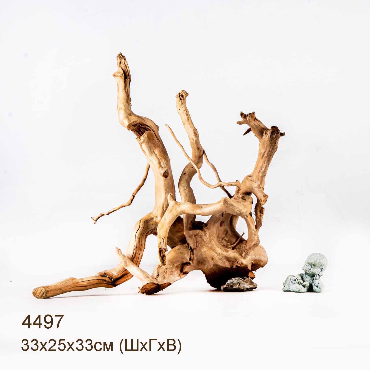 Коряга MASHA BLOOM Корень азалии L - 4497