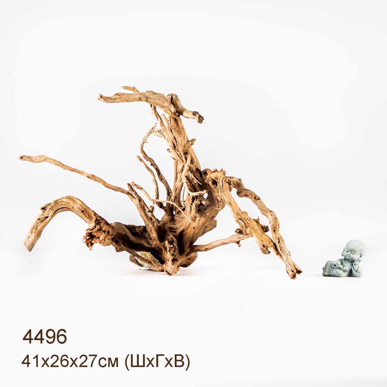 Коряга MASHA BLOOM Корень азалии L - 4496