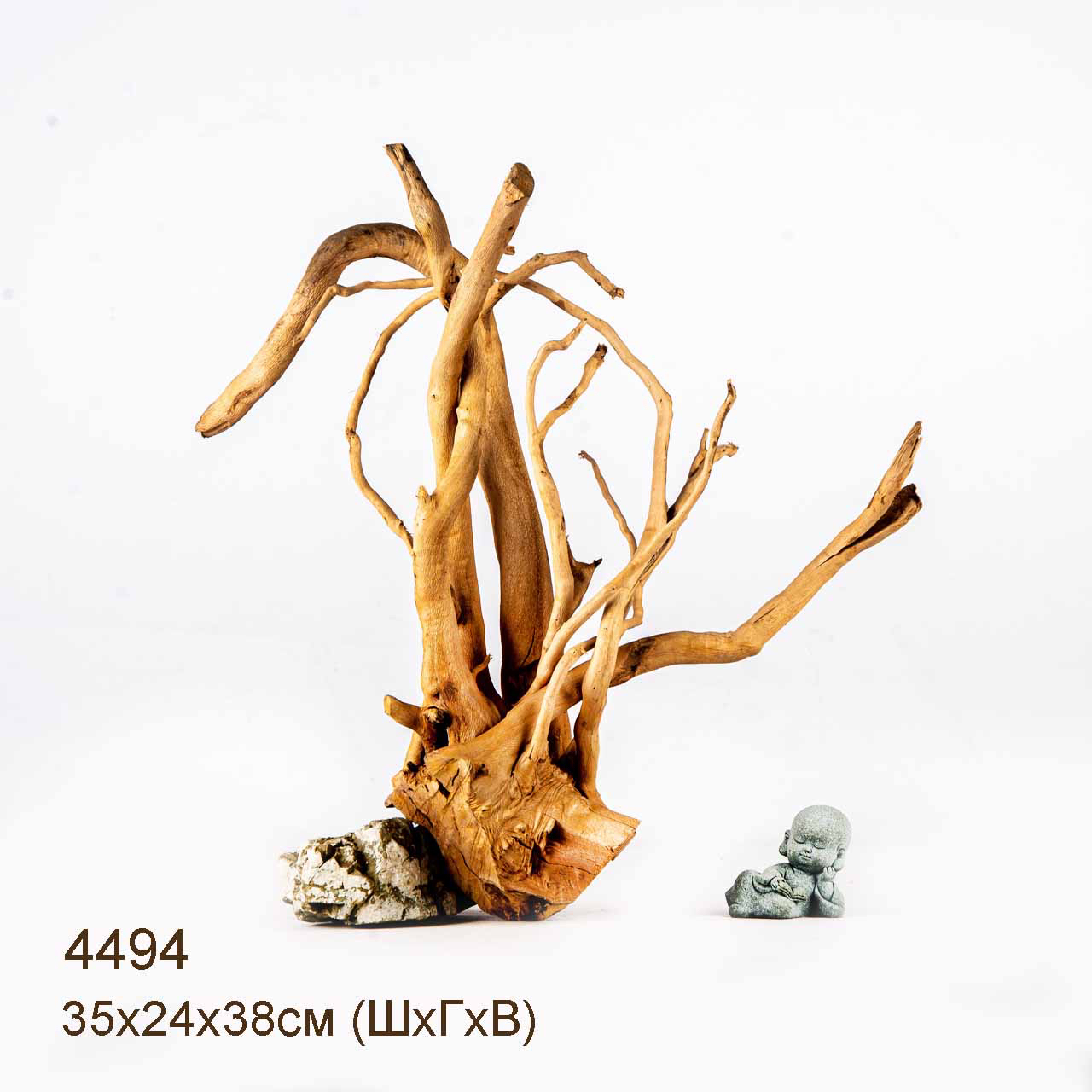 Коряга MASHA BLOOM Корень азалии L - 4494