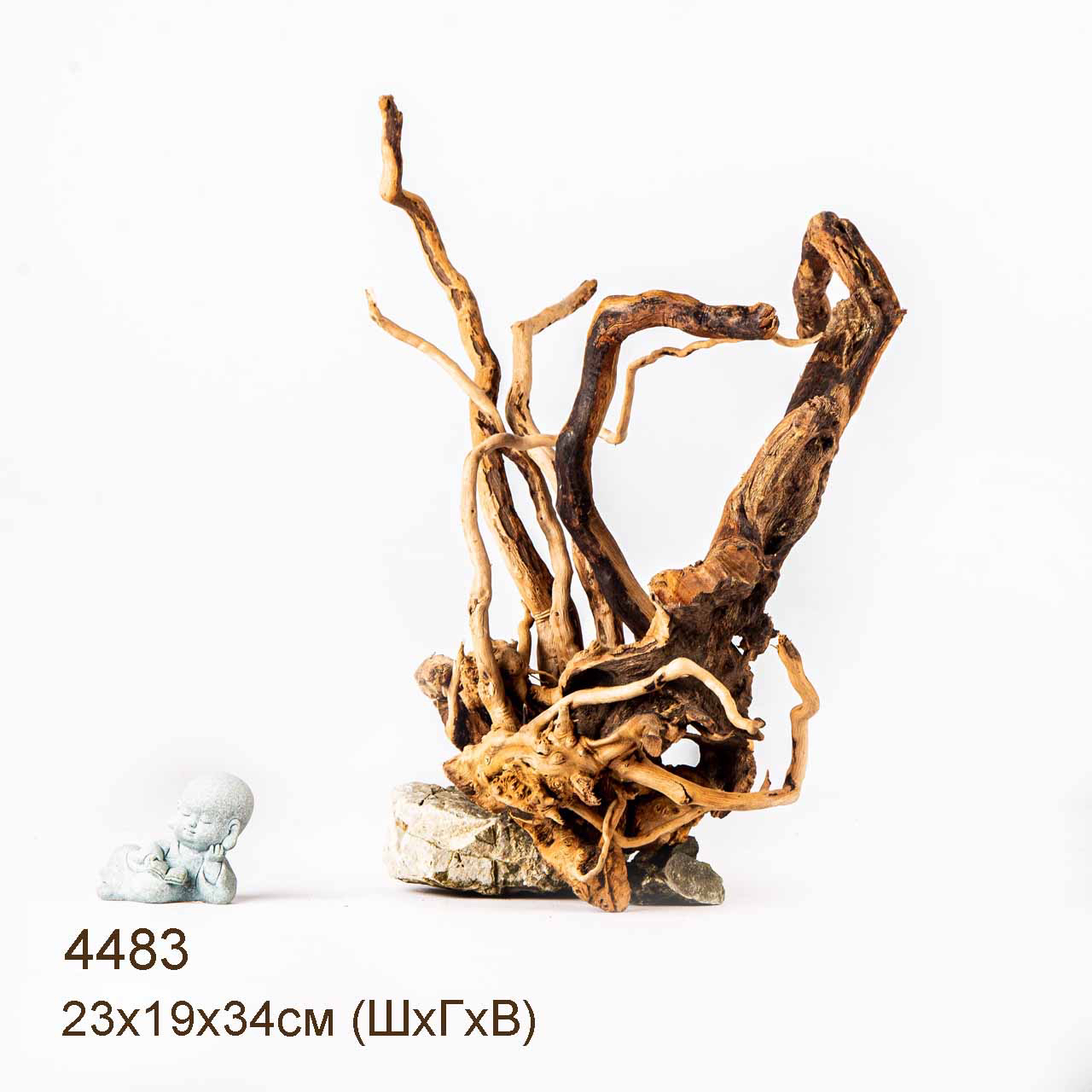 Коряга MASHA BLOOM Корень азалии L - 4483