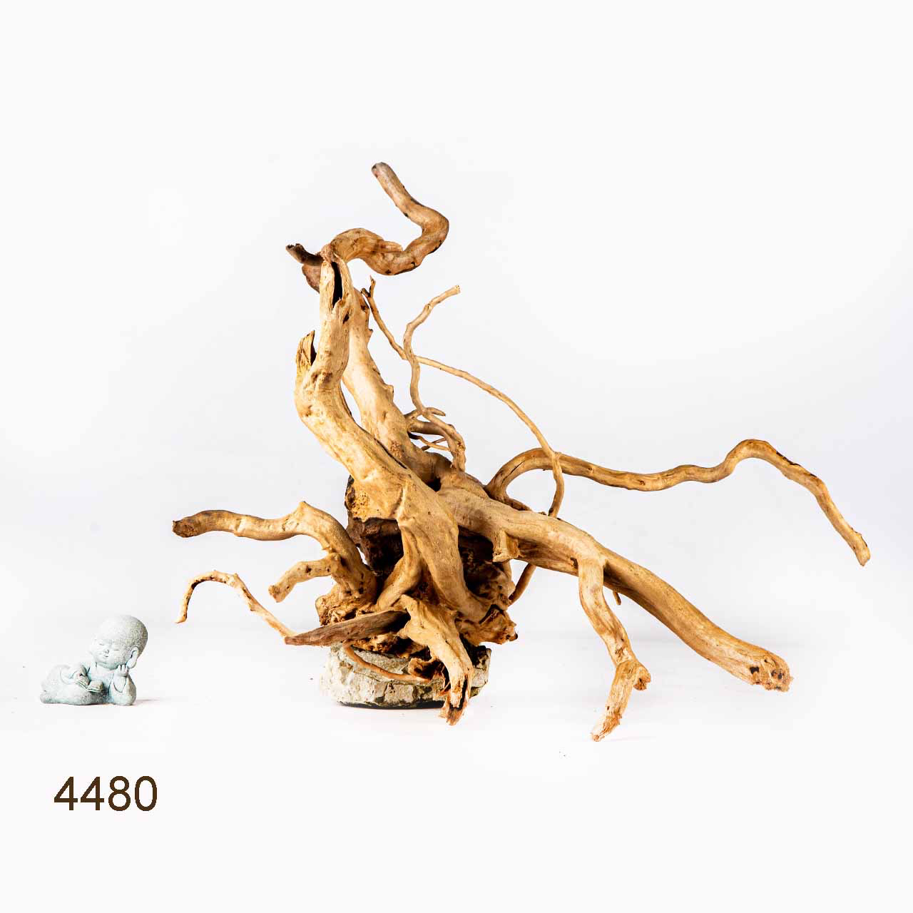 Коряга MASHA BLOOM Корень азалии L - 4480