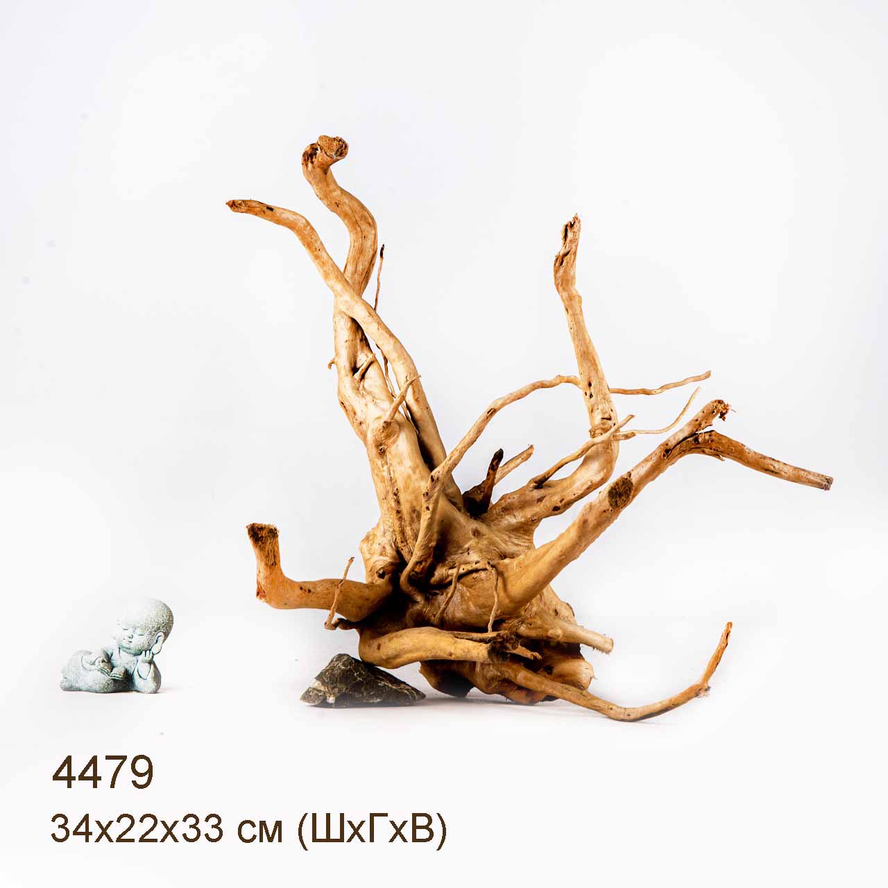 Коряга MASHA BLOOM Корень азалии L - 4479