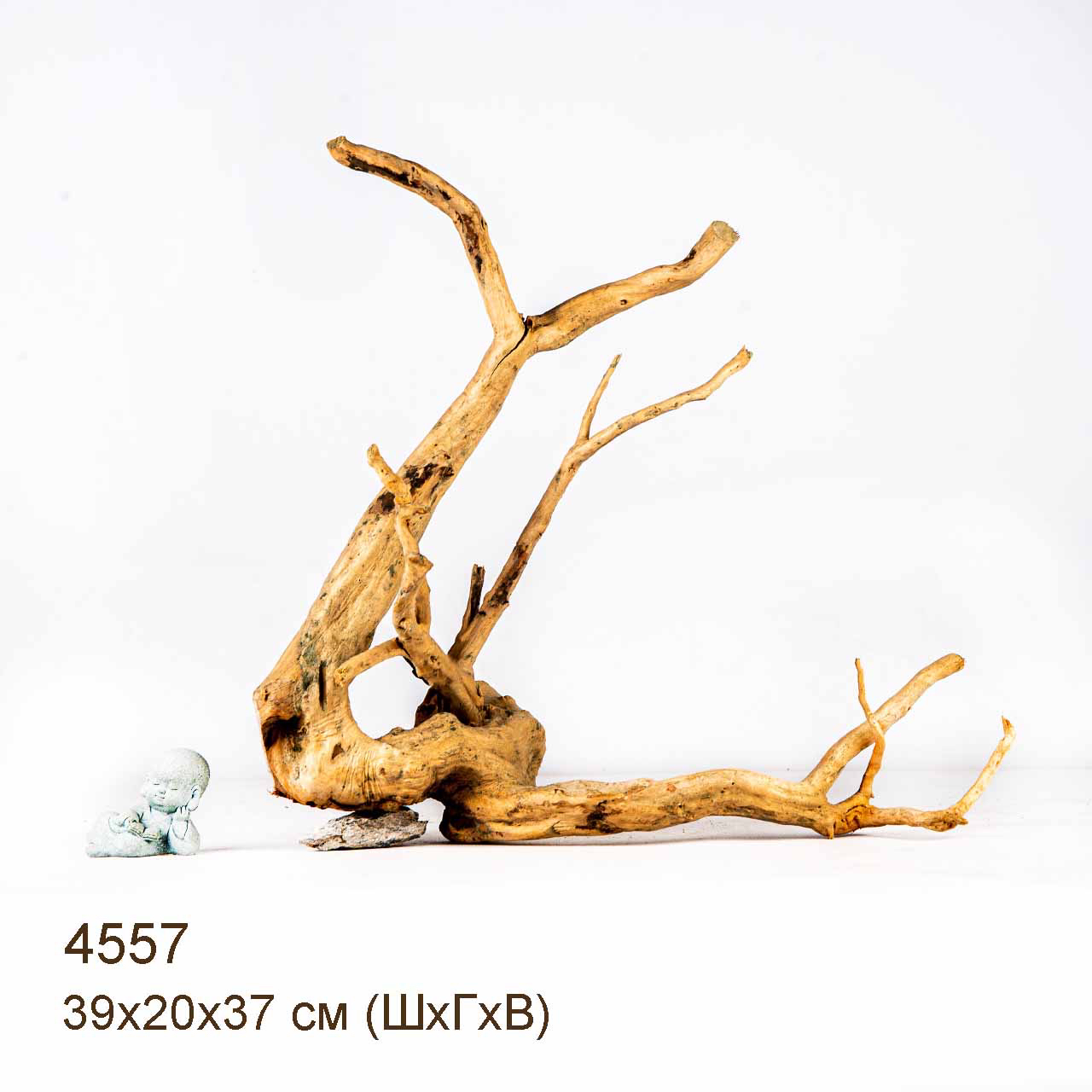 Коряга MASHA BLOOM Корень азалии M - 4557