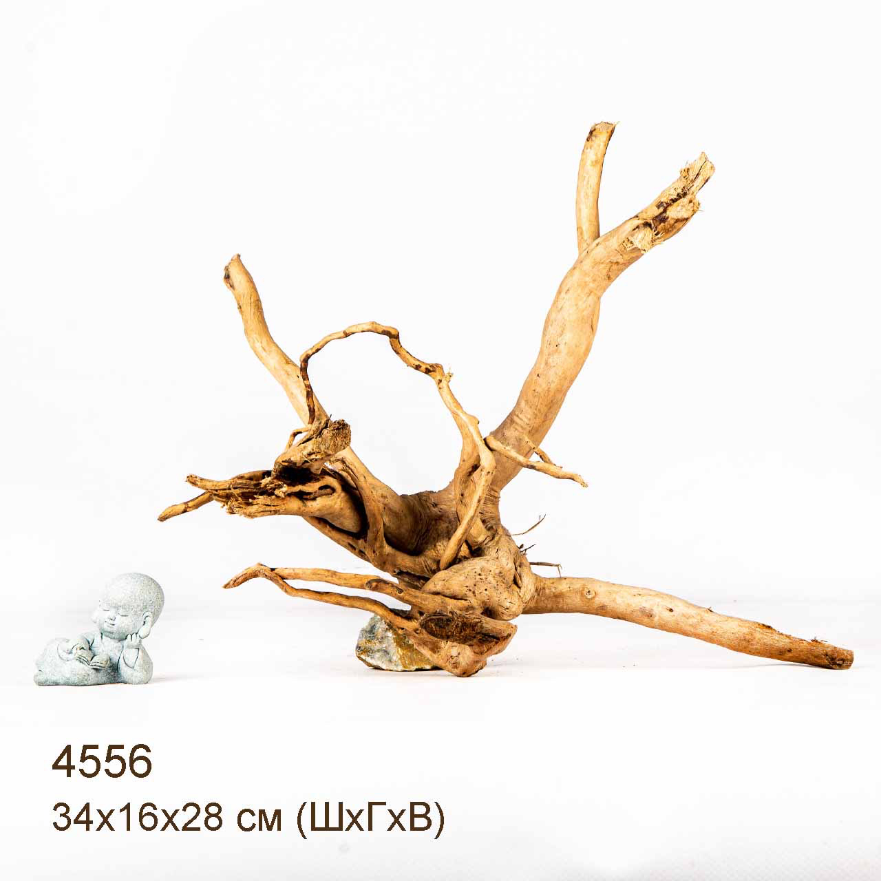 Коряга MASHA BLOOM Корень азалии M - 4556