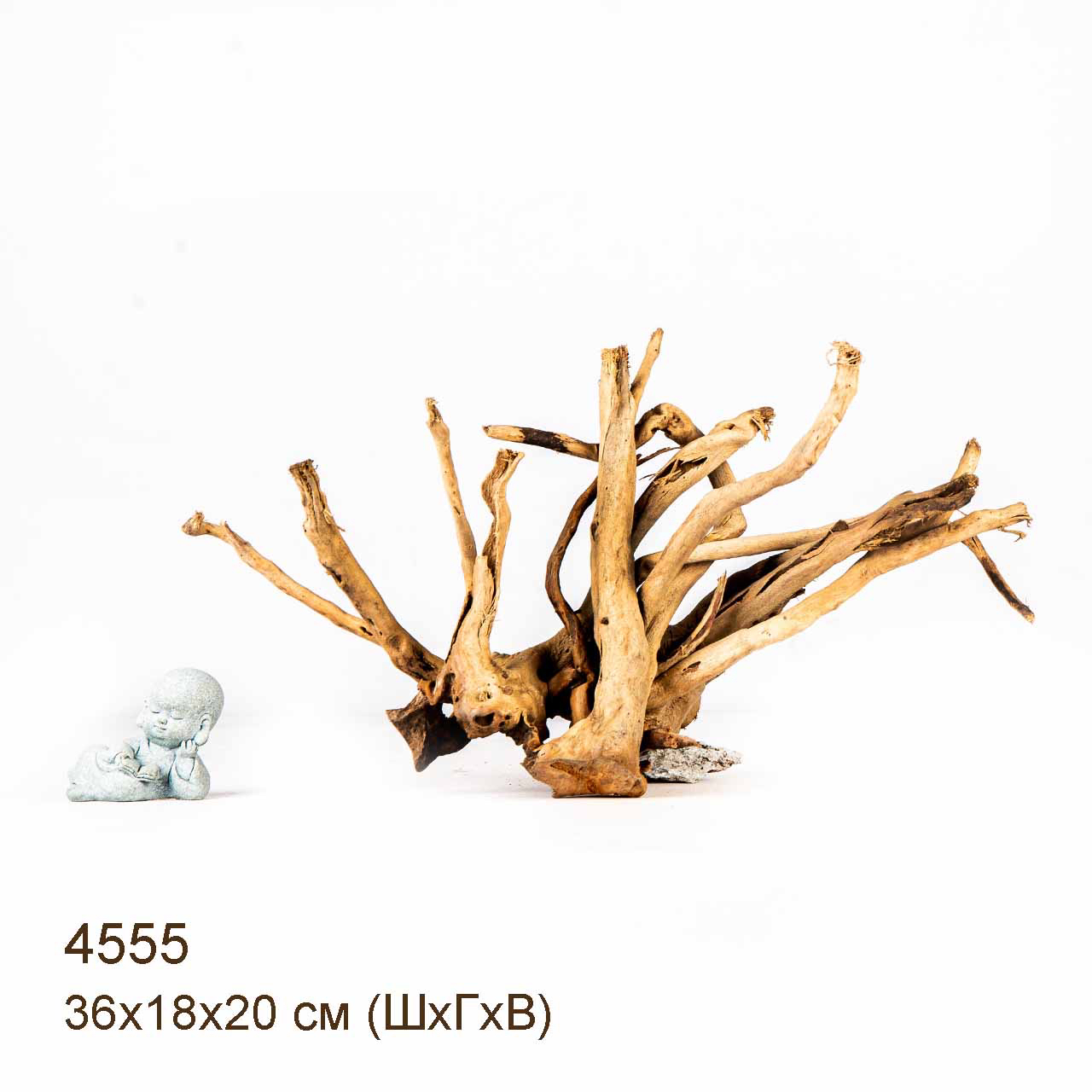 Коряга MASHA BLOOM Корень азалии M - 4555