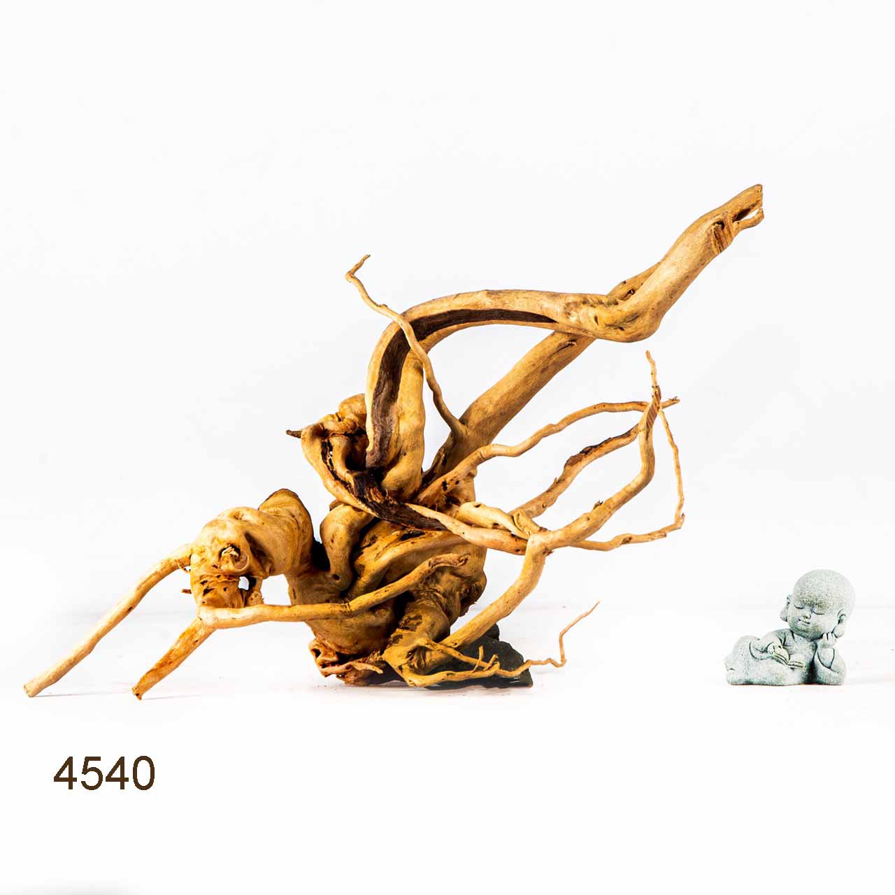 Коряга MASHA BLOOM Корень азалии M - 4540