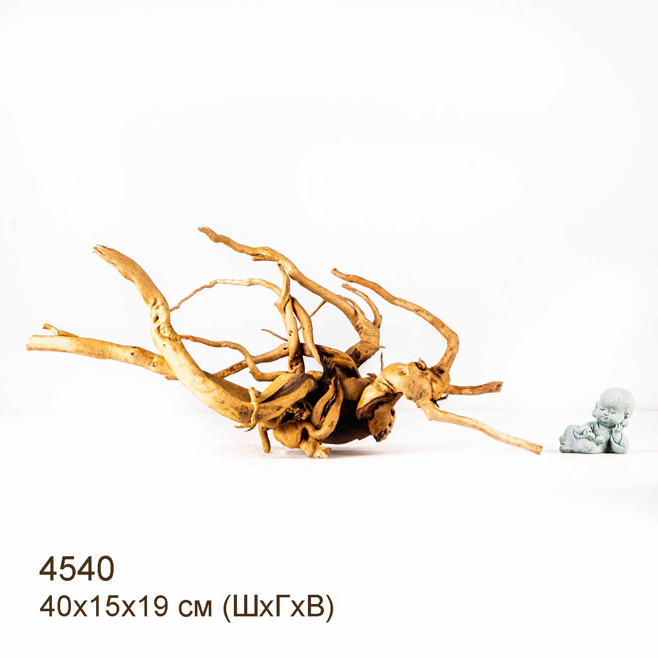 Коряга MASHA BLOOM Корень азалии M - 4540