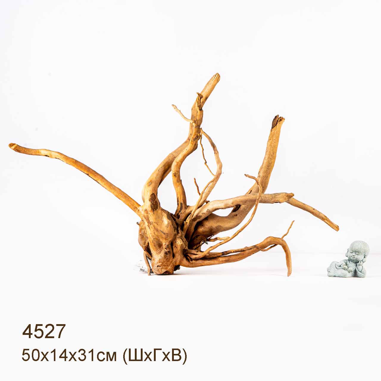 Коряга MASHA BLOOM Корень азалии M - 4527