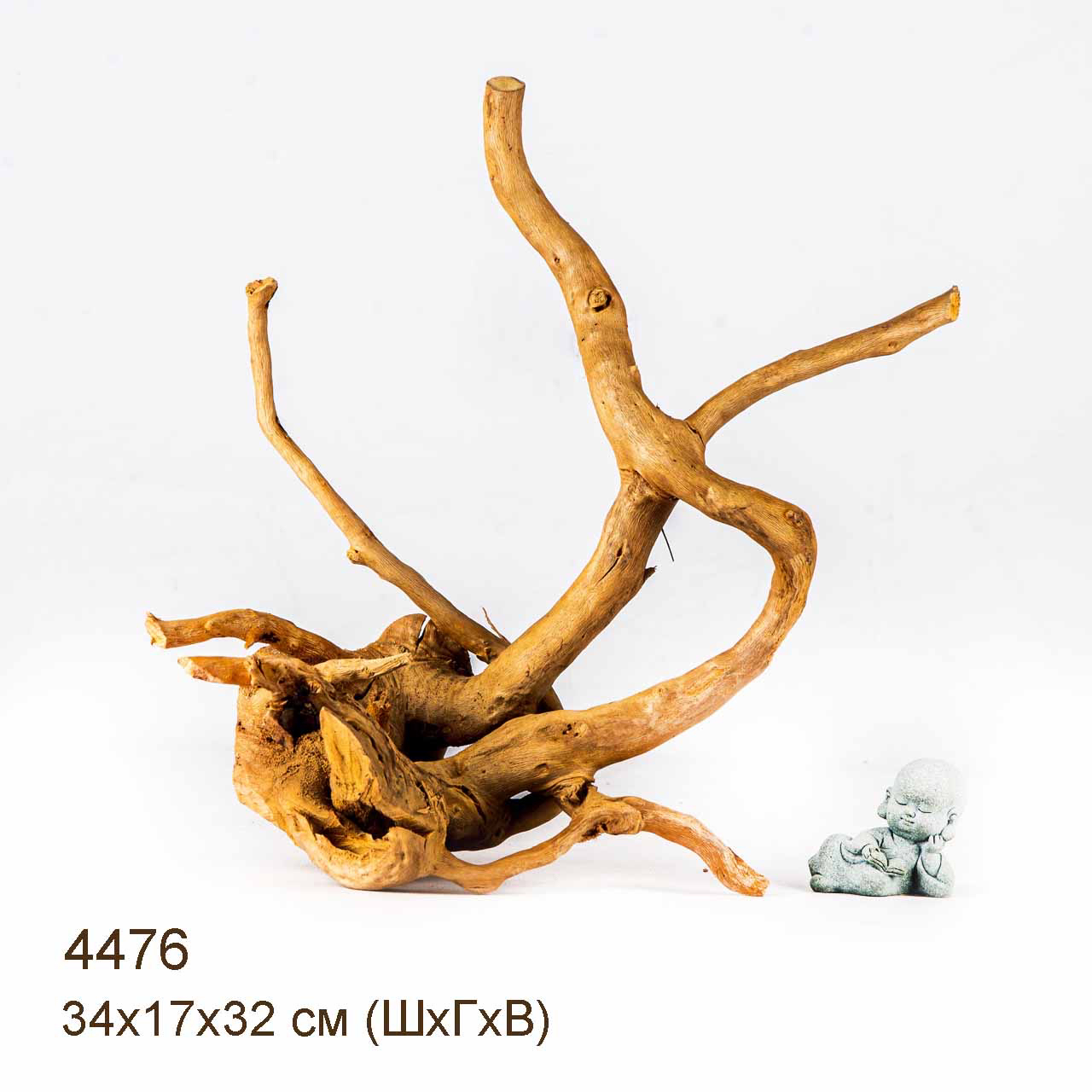 Коряга MASHA BLOOM Корень азалии L - 4476