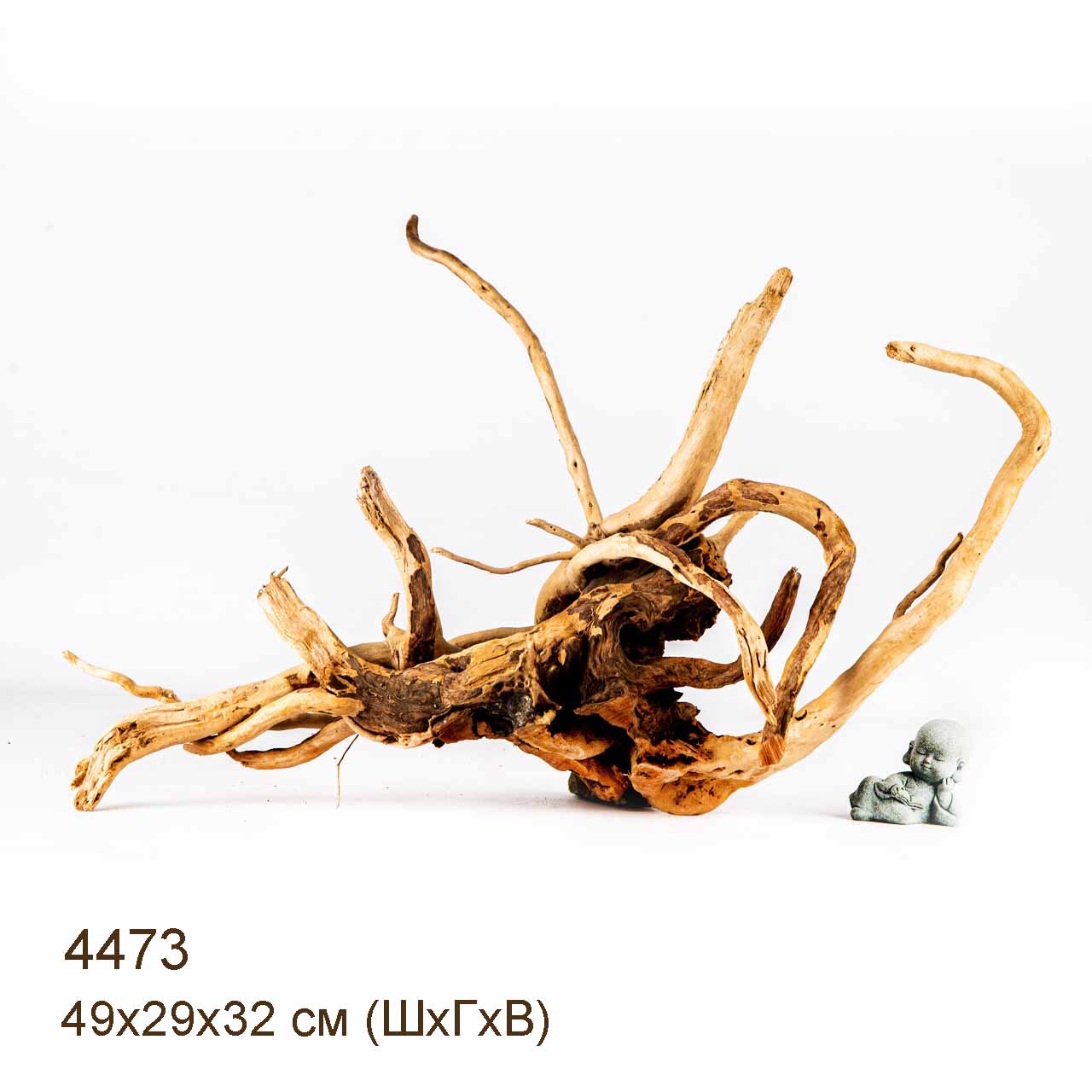 Коряга MASHA BLOOM Корень азалии L - 4473