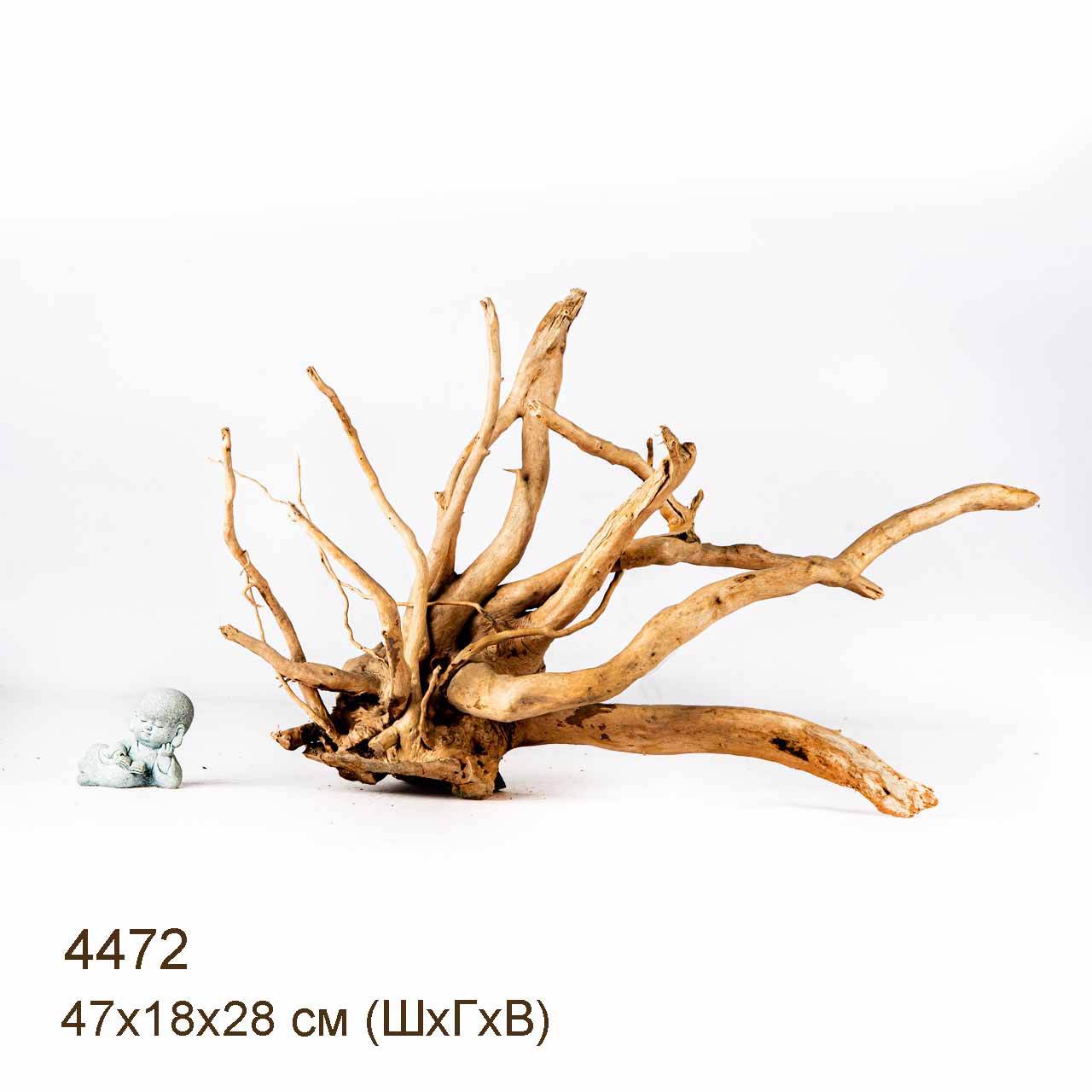 Коряга MASHA BLOOM Корень азалии L - 4472