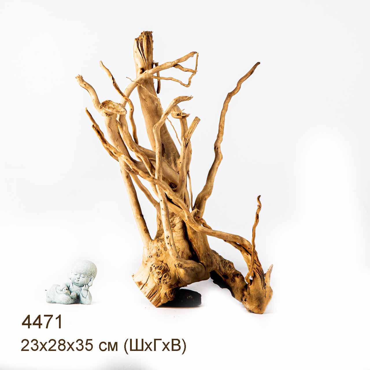 Коряга MASHA BLOOM Корень азалии L - 4471