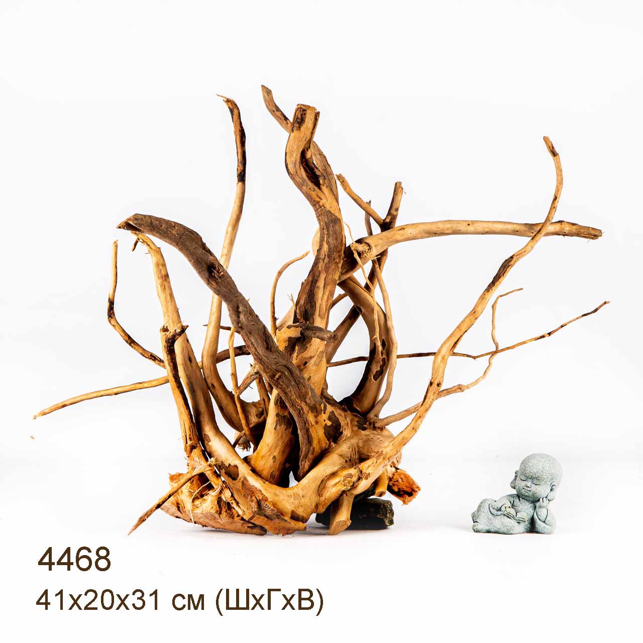 Коряга MASHA BLOOM Корень азалии L - 4468