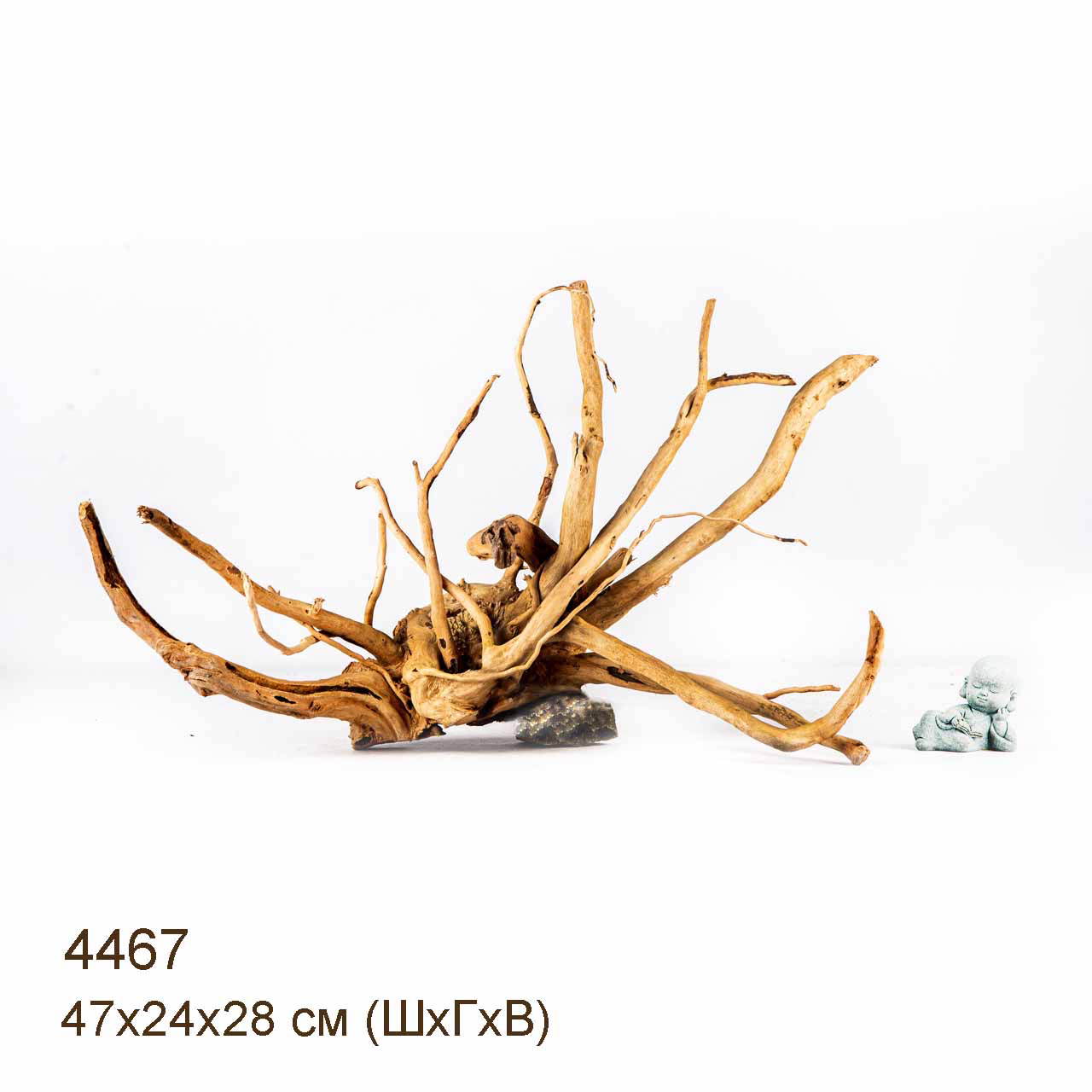 Коряга MASHA BLOOM Корень азалии L - 4467