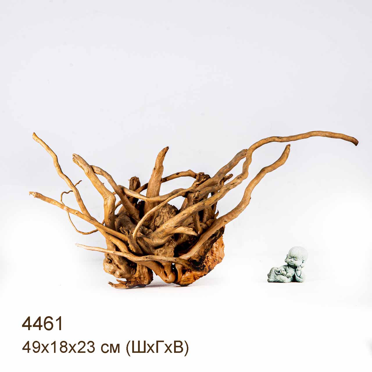 Коряга MASHA BLOOM Корень азалии L - 4461