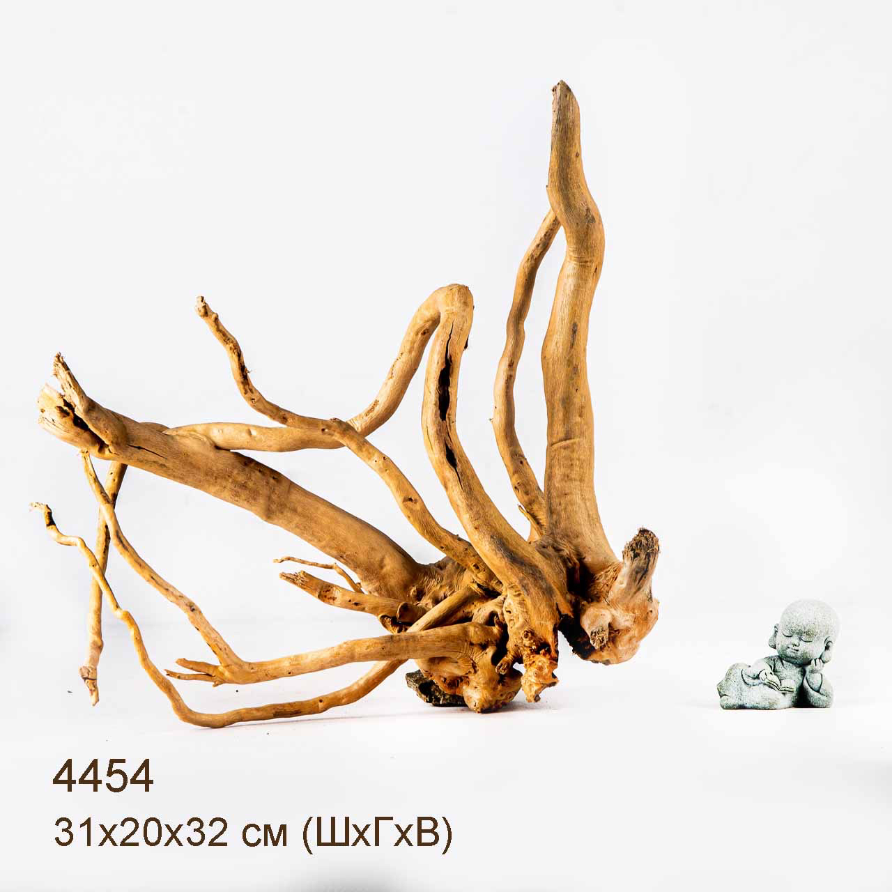 Коряга MASHA BLOOM Корень азалии L - 4454