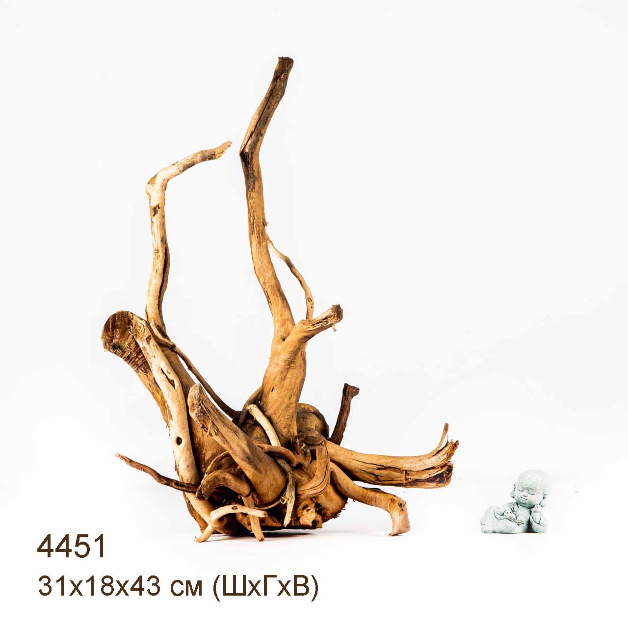 Коряга MASHA BLOOM Корень азалии L - 4451