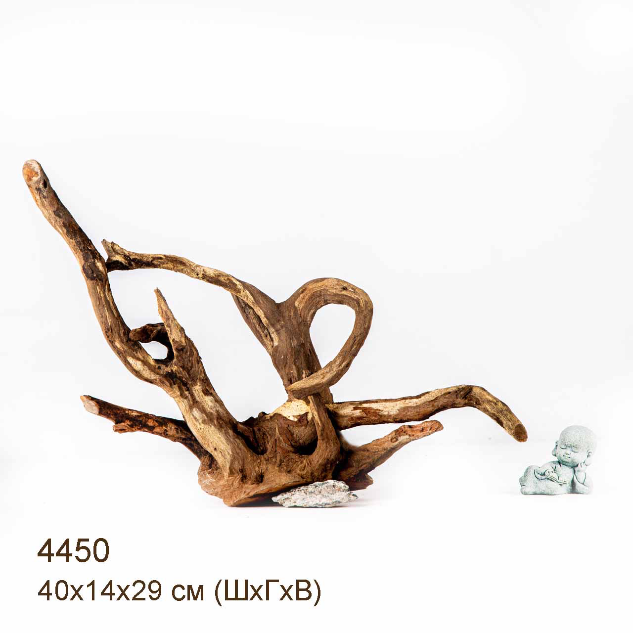 Коряга MASHA BLOOM Корень азалии L - 4450