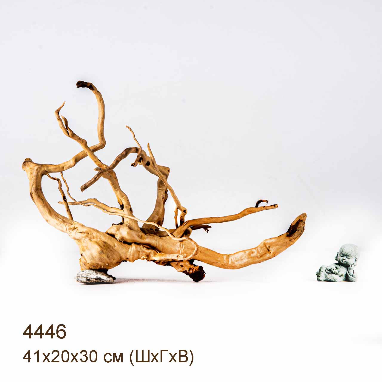 Коряга MASHA BLOOM Корень азалии L - 4446