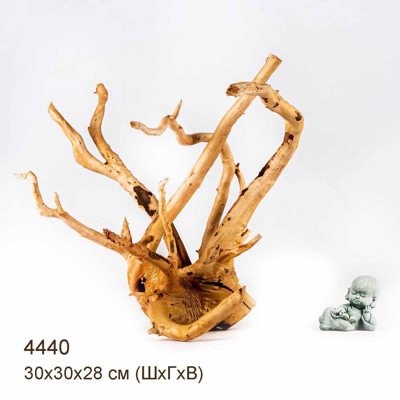 Коряга MASHA BLOOM Корень азалии L - 4440