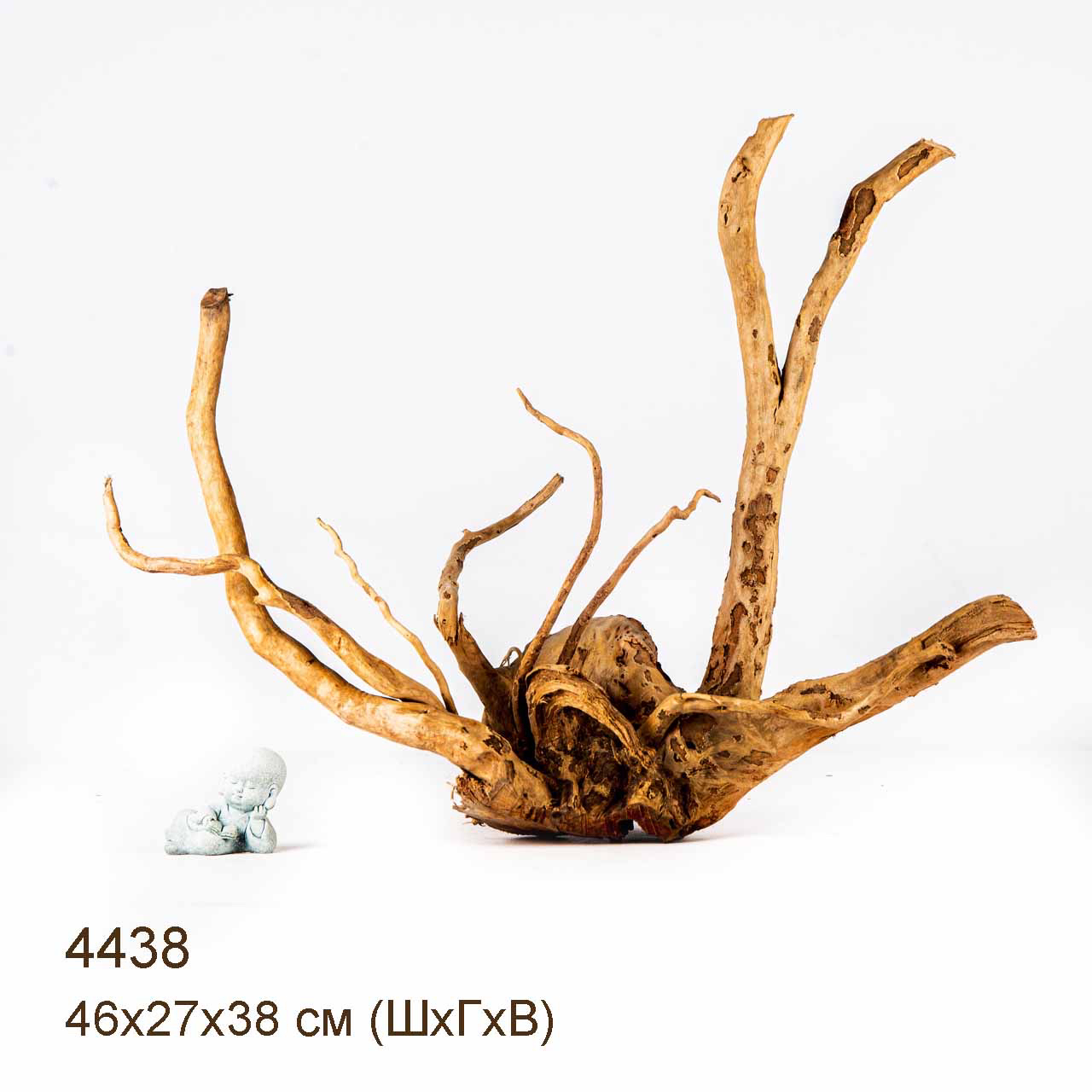 Коряга MASHA BLOOM Корень азалии L - 4438