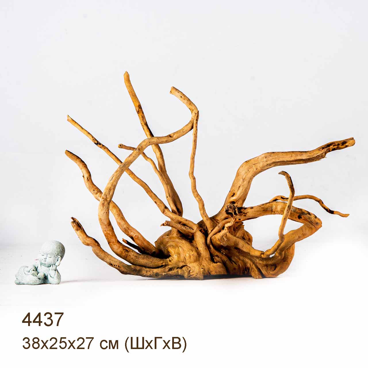 Коряга MASHA BLOOM Корень азалии L - 4437