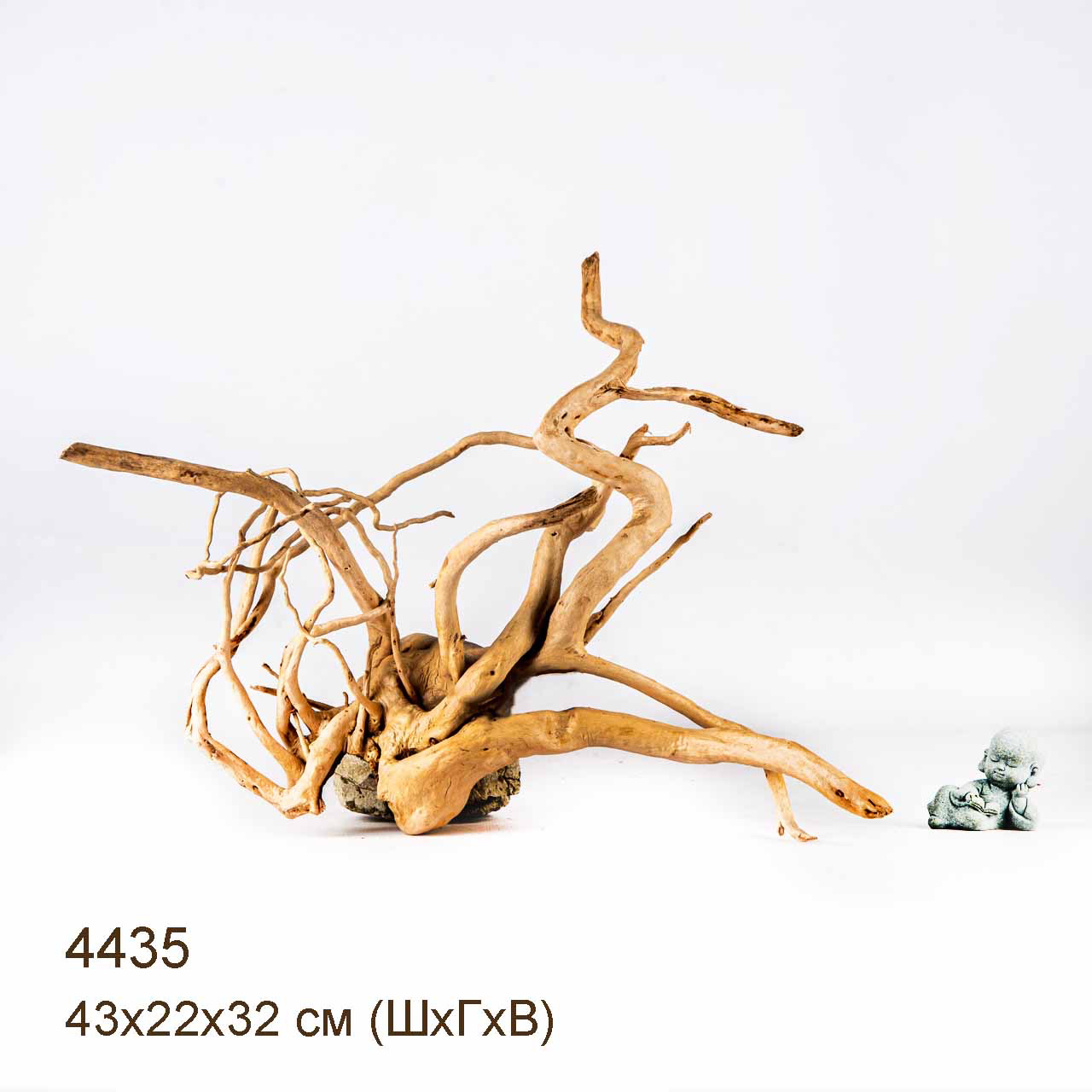 Коряга MASHA BLOOM Корень азалии L - 4435