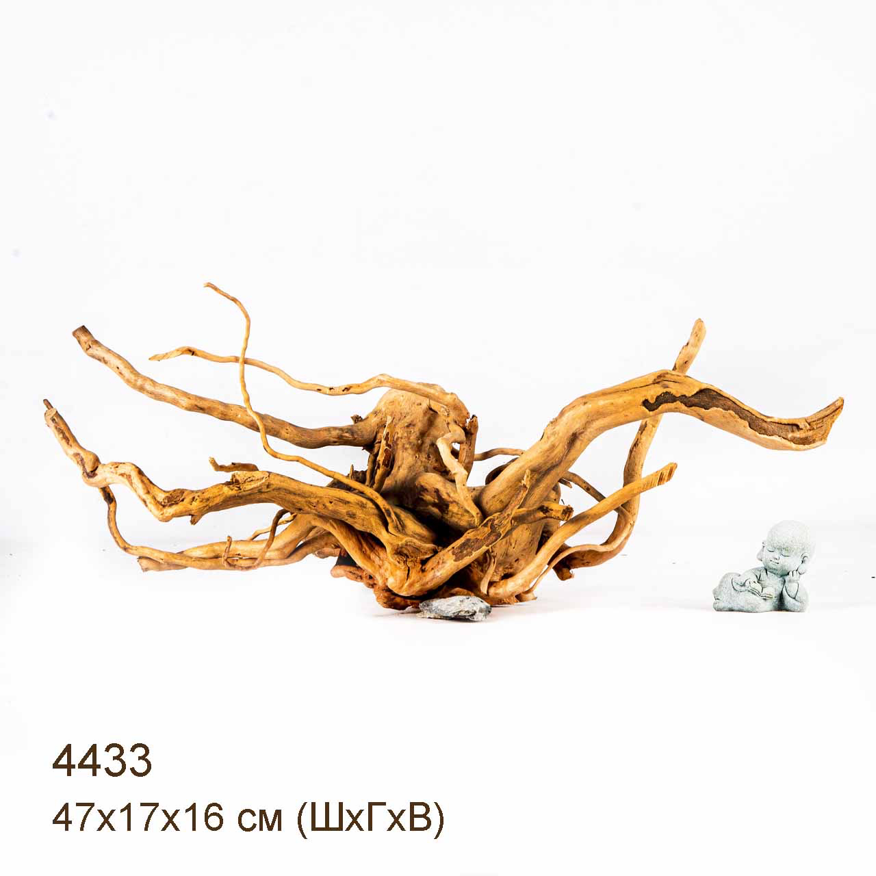 Коряга MASHA BLOOM Корень азалии L - 4433