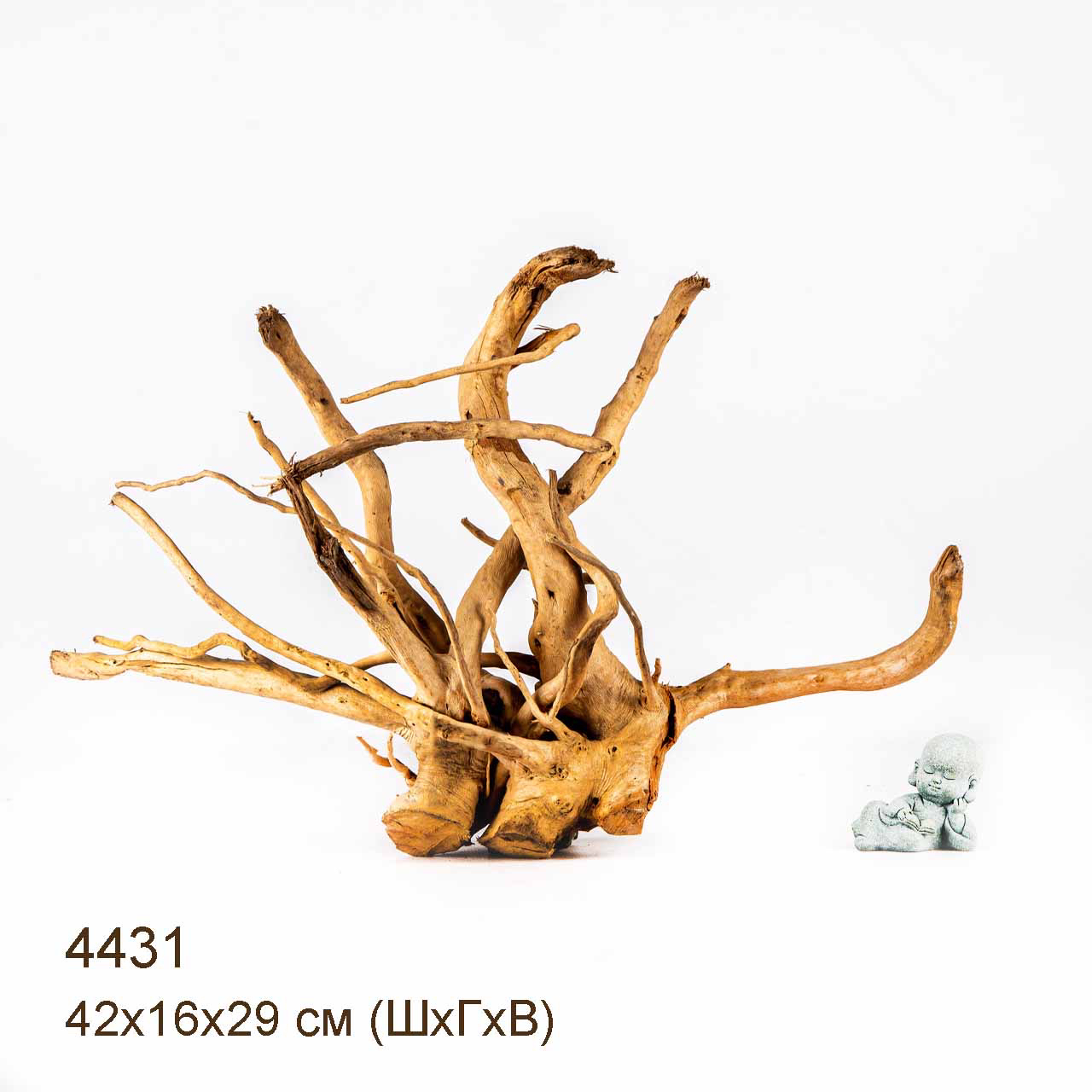 Коряга MASHA BLOOM Корень азалии L - 4431