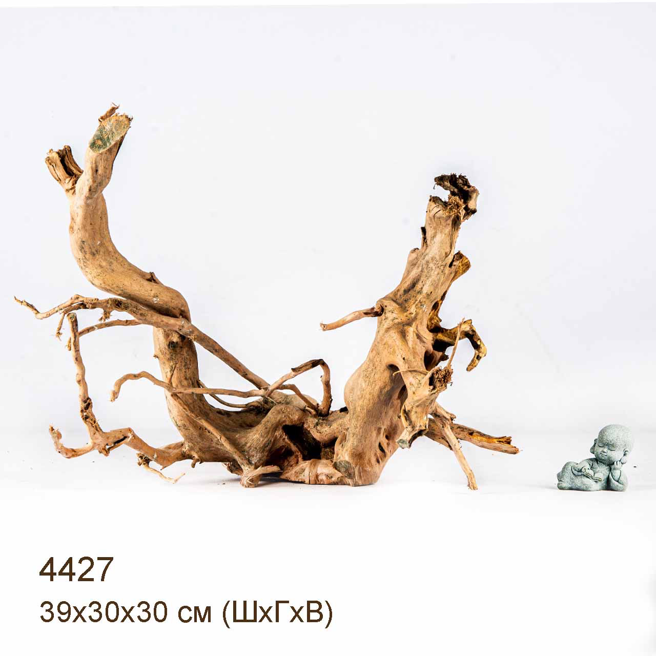 Коряга MASHA BLOOM Корень азалии L - 4427