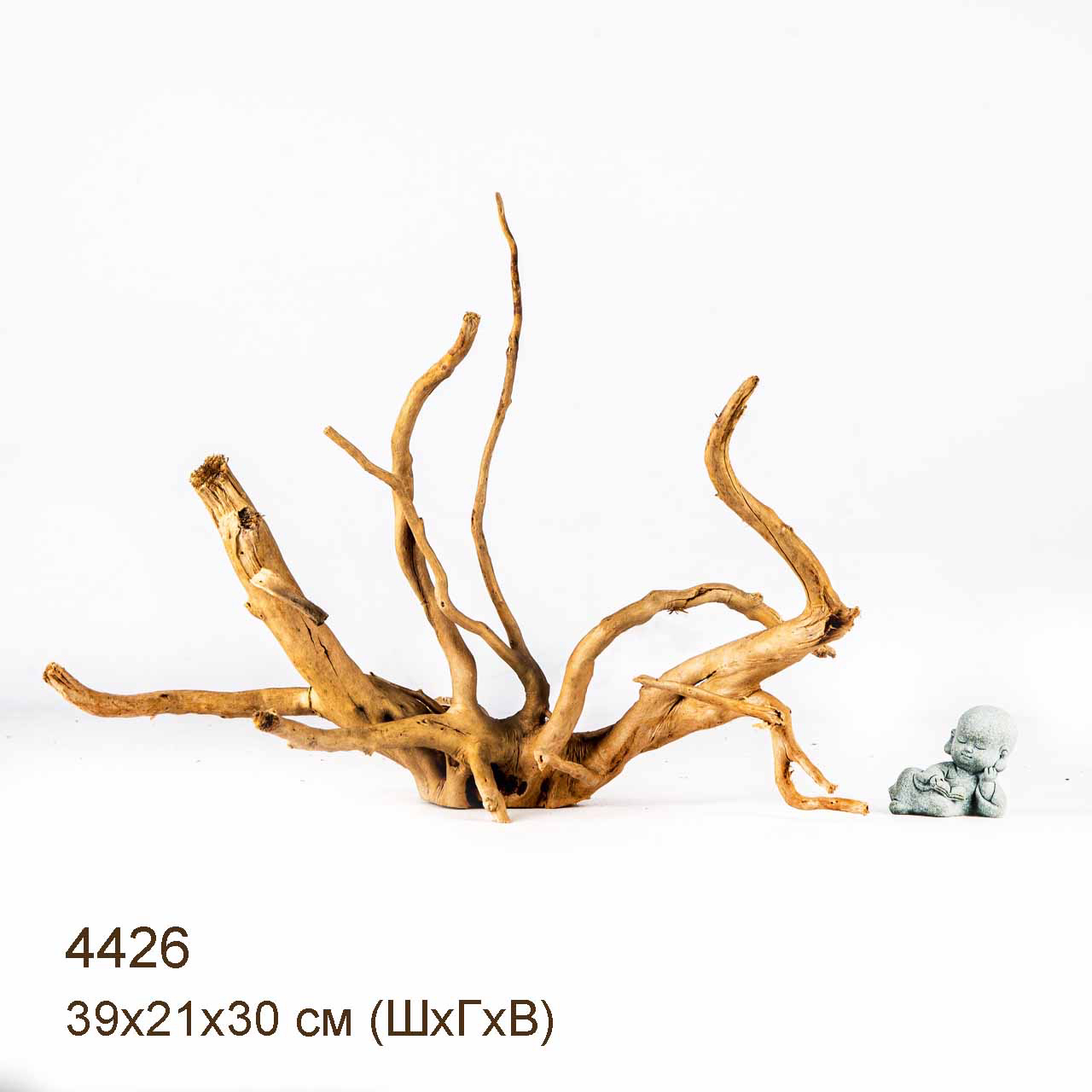 Коряга MASHA BLOOM Корень азалии L - 4426