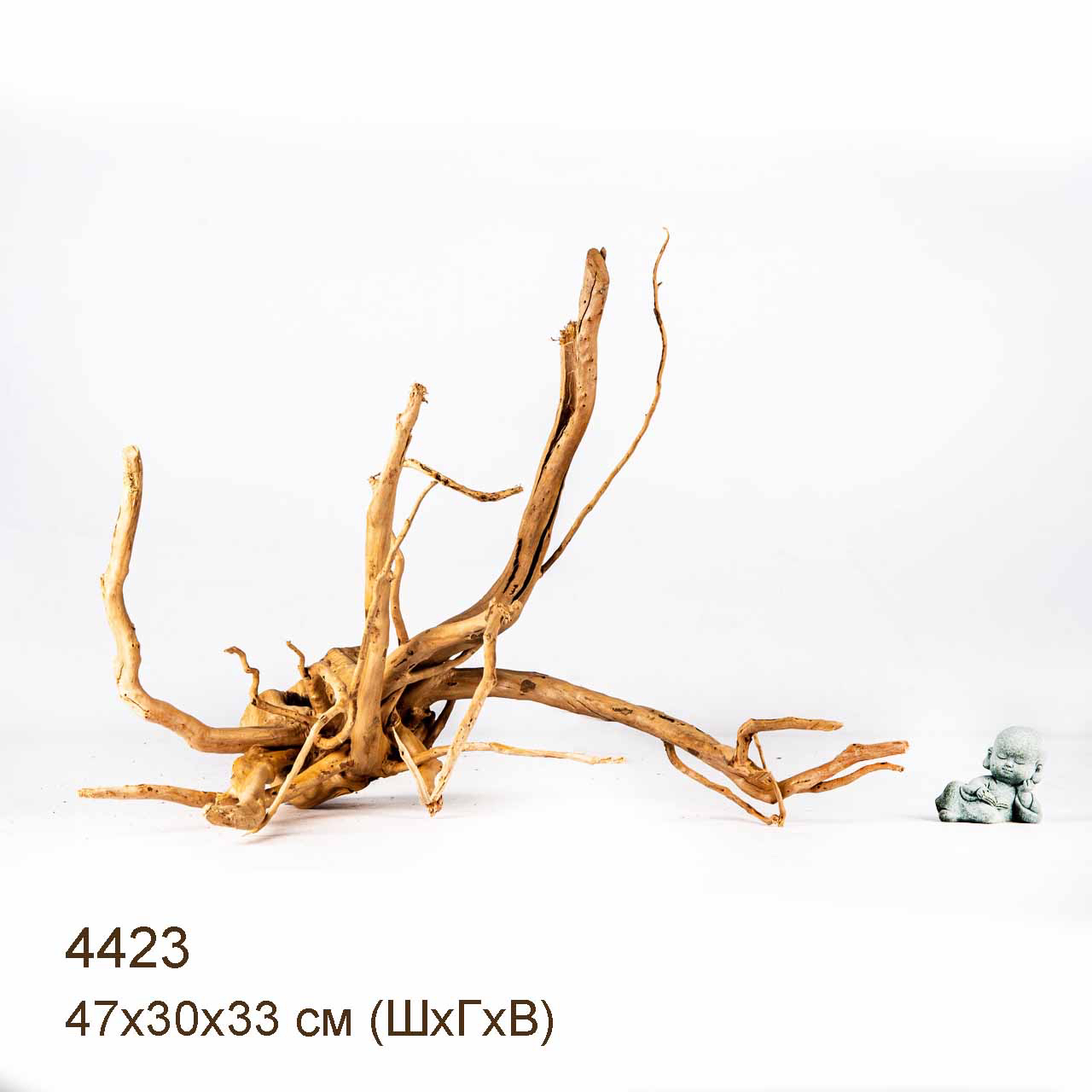 Коряга MASHA BLOOM Корень азалии L - 4423