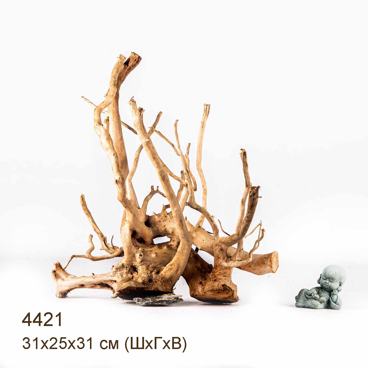 Коряга MASHA BLOOM Корень азалии L - 4421