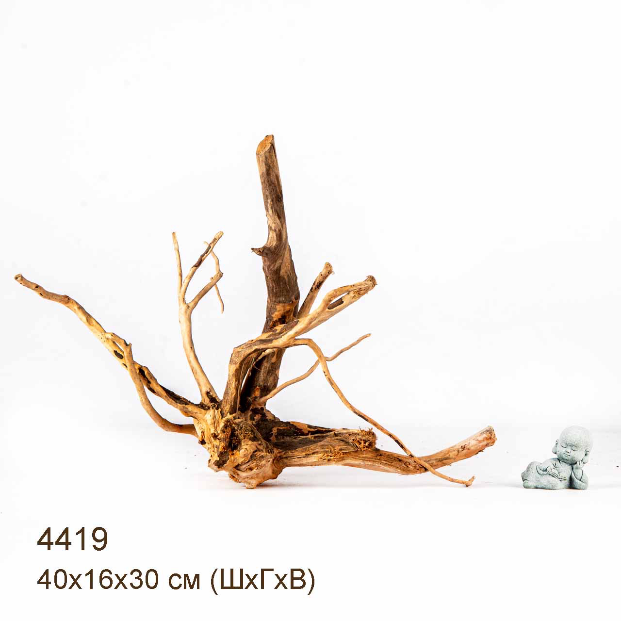 Коряга MASHA BLOOM Корень азалии L - 4419