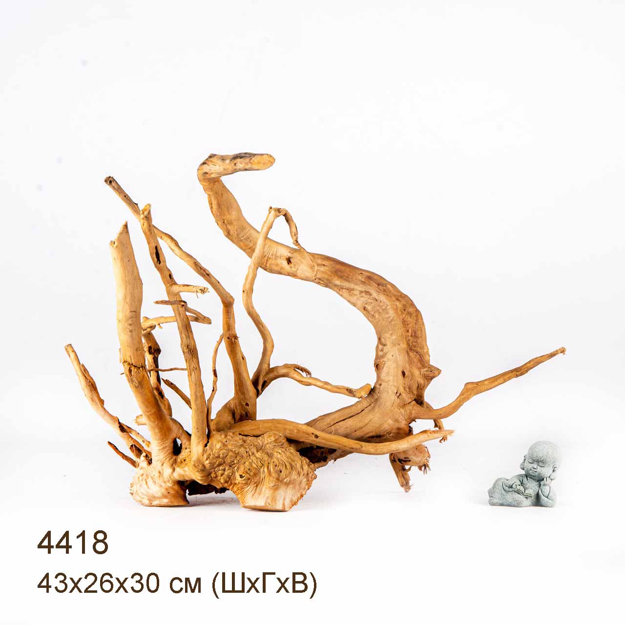 Коряга MASHA BLOOM Корень азалии L - 4418