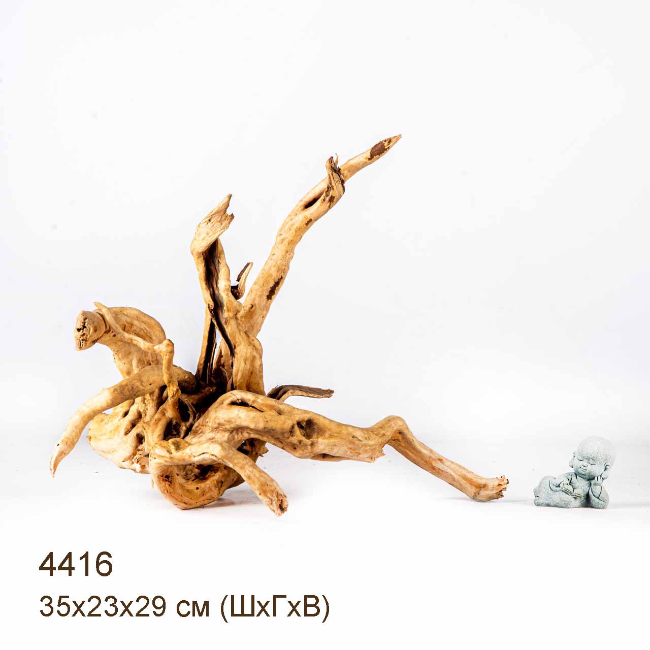 Коряга MASHA BLOOM Корень азалии L - 4416