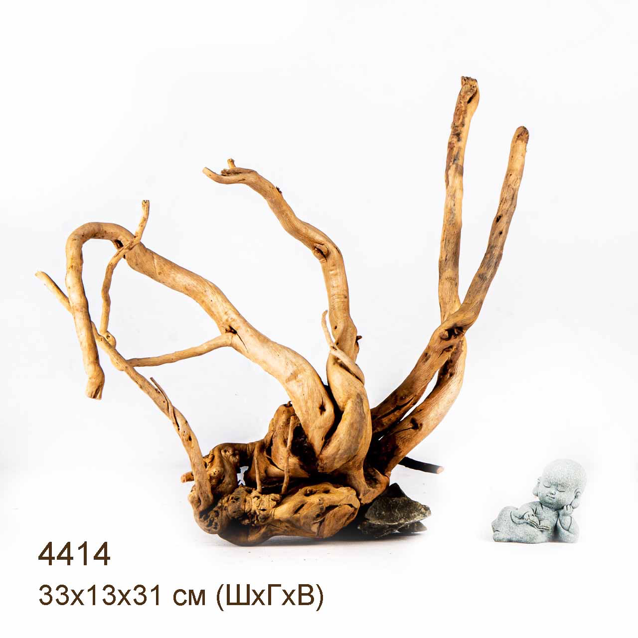 Коряга MASHA BLOOM Корень азалии L - 4414