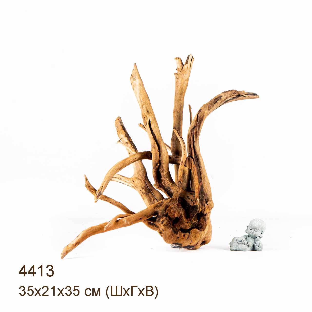 Коряга MASHA BLOOM Корень азалии L - 4413