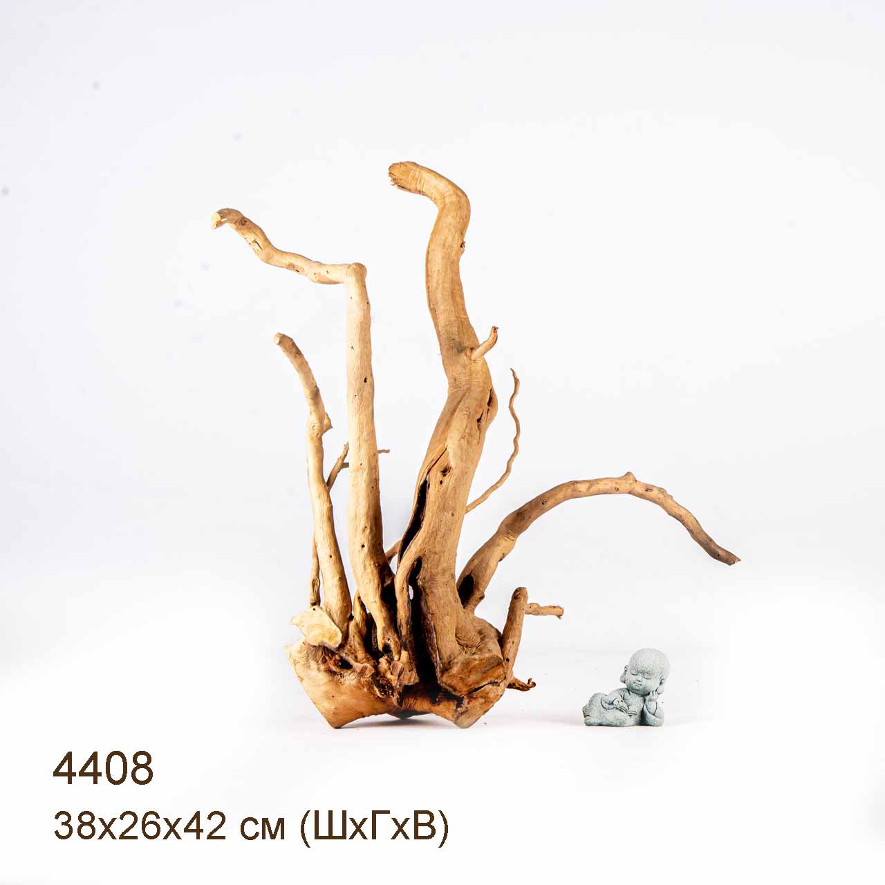 Коряга MASHA BLOOM Корень азалии L - 4408