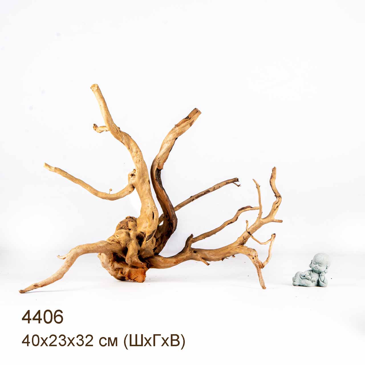 Коряга MASHA BLOOM Корень азалии L - 4406