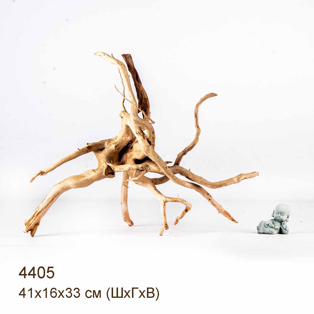 Коряга MASHA BLOOM Корень азалии L - 4405