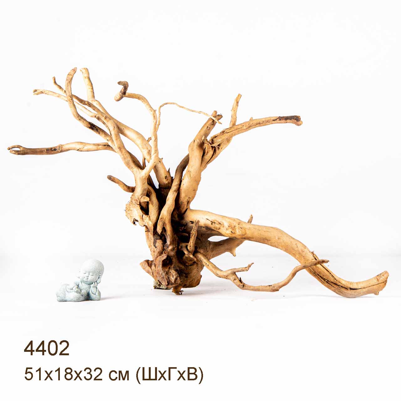 Коряга MASHA BLOOM Корень азалии L - 4402