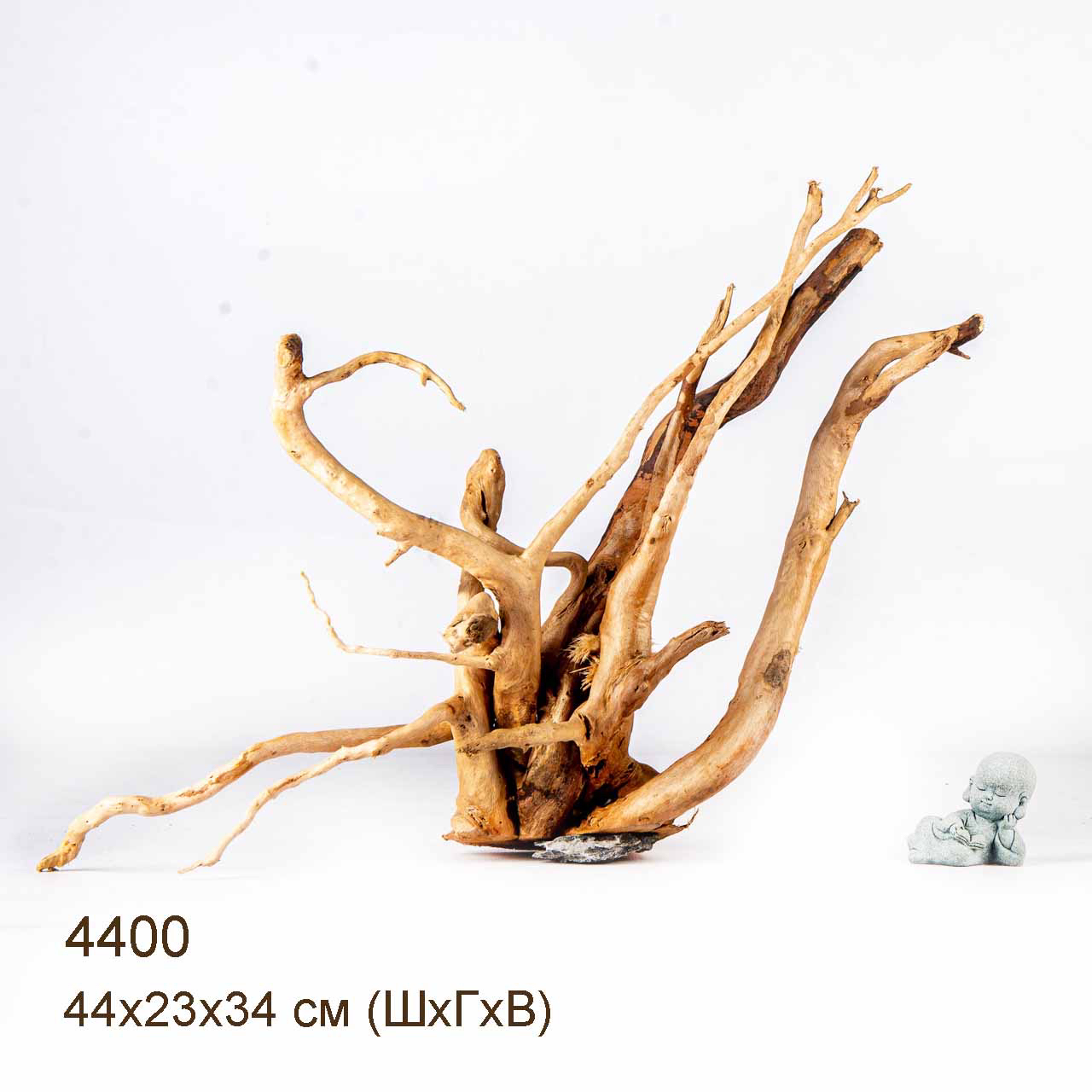 Коряга MASHA BLOOM Корень азалии L - 4400